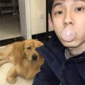 温屿