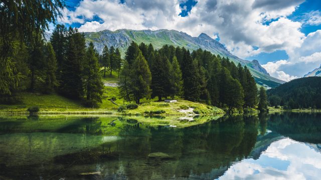 瑞士 树木 湖泊 ˮ 倒影 2K风景桌面壁纸